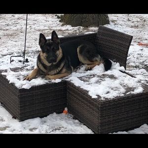 Meet your Posher, Catherine